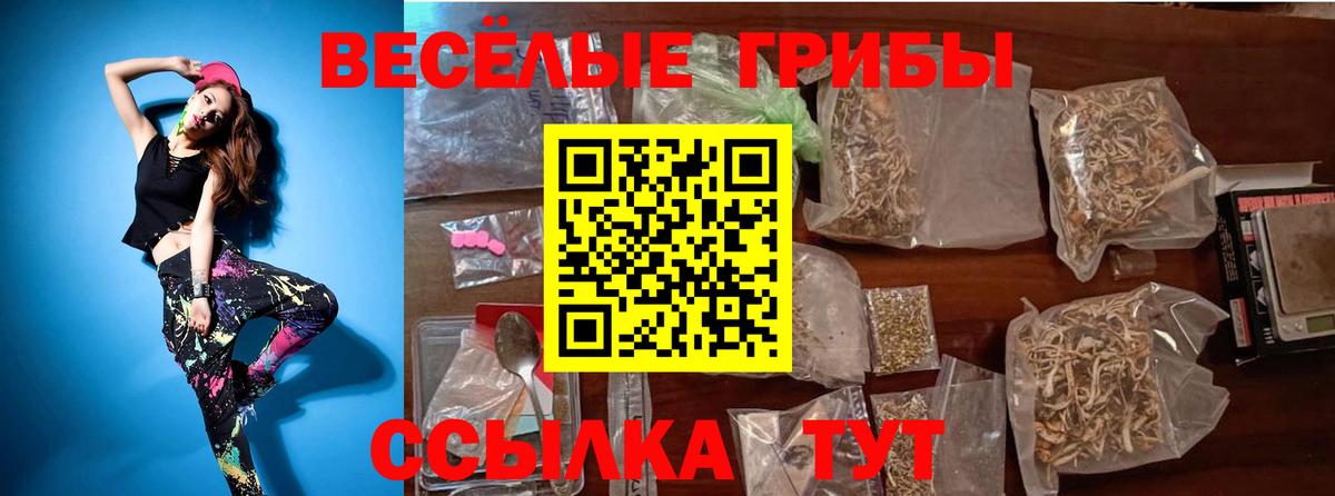 Зерноград  Псилоцибиновые грибы Psilocybe  Вход с VPN 