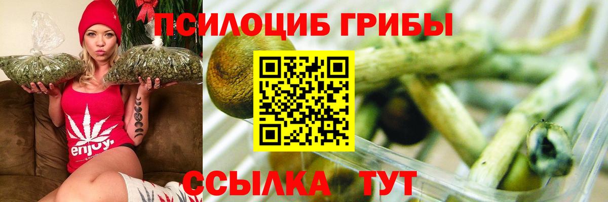 Псилоцибиновые грибы GOLDEN TEACHER Зерноград